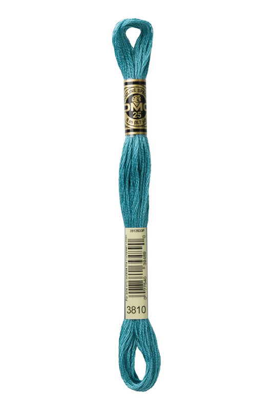 DMC Stranded Cotton 3810