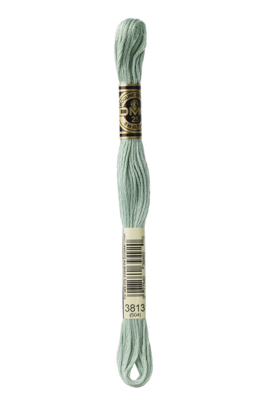 DMC Stranded Cotton 3813