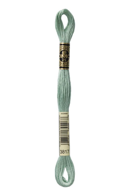 DMC Stranded Cotton 3817