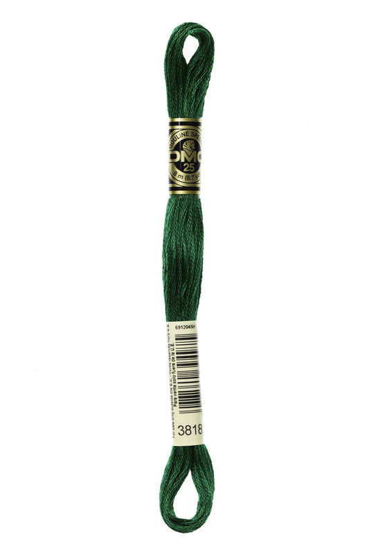 DMC Stranded Cotton 3818