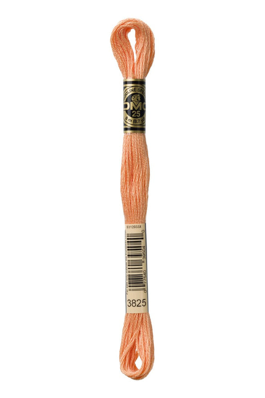 DMC Stranded Cotton 3825
