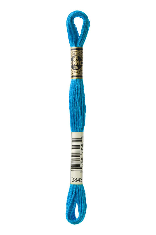 DMC Stranded Cotton 3843