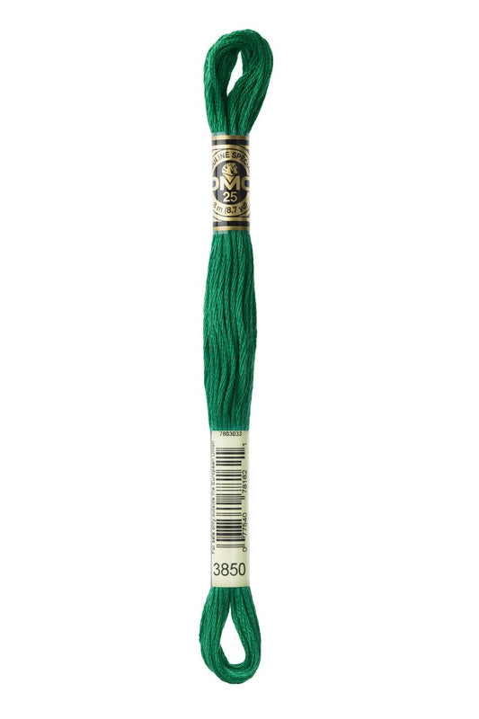 DMC Stranded Cotton 3850
