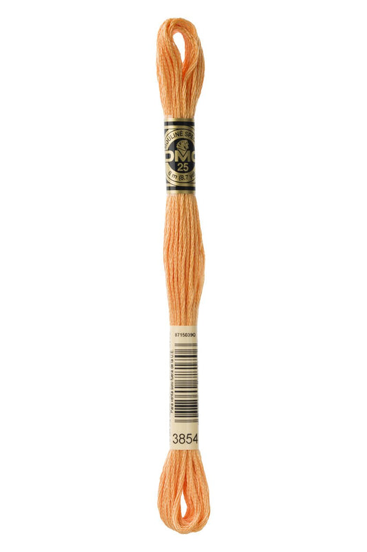 DMC Stranded Cotton 3854