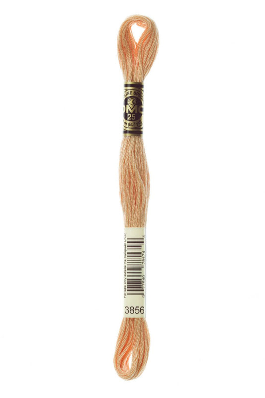 DMC Stranded Cotton 3856