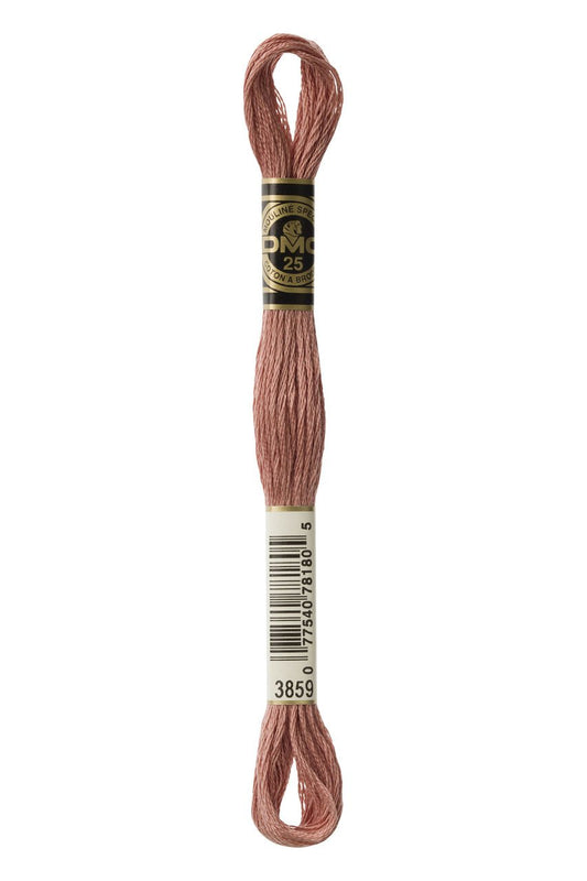 DMC Stranded Cotton 3859