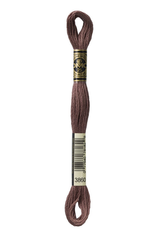 DMC Stranded Cotton 3860
