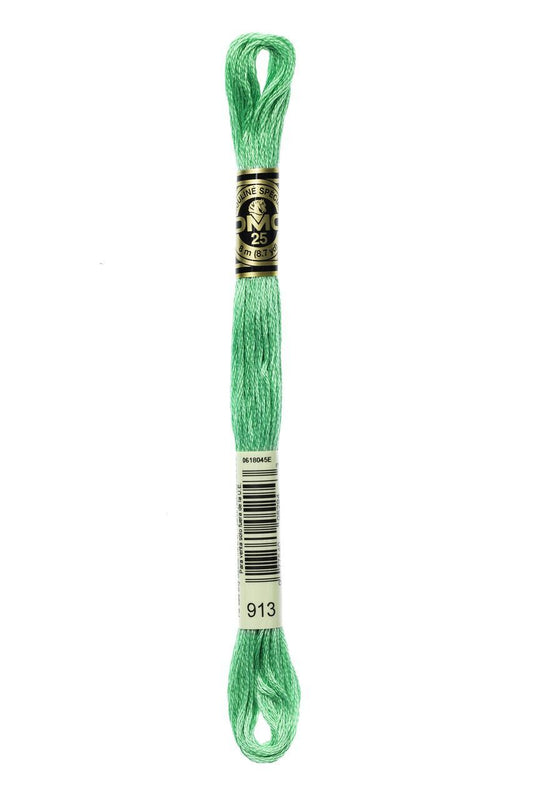 DMC Stranded Cotton 0913