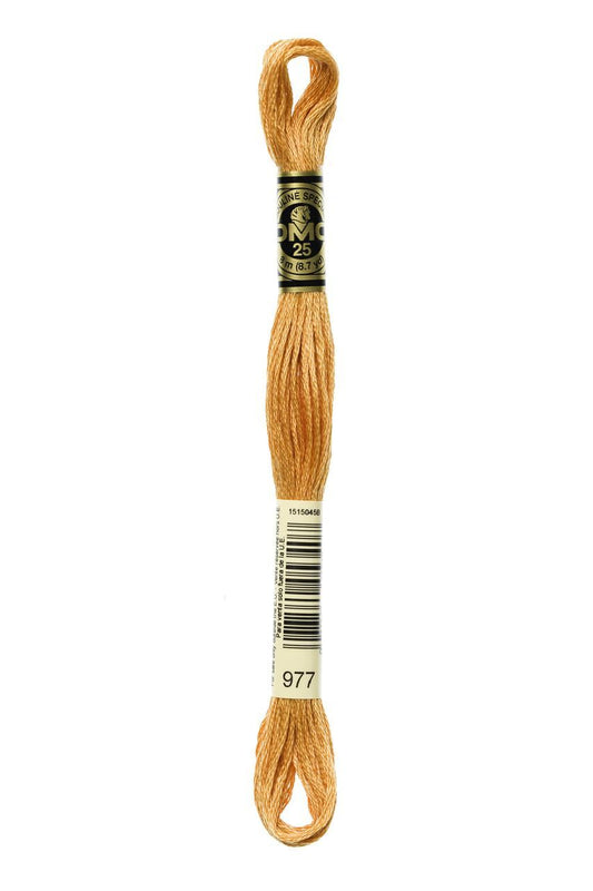 DMC Stranded Cotton 0977
