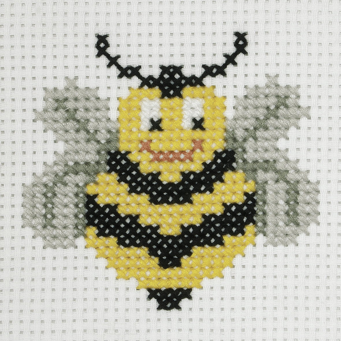 Bee - Anchor 1st Counted Cross Stitch Kit 3690000\10019