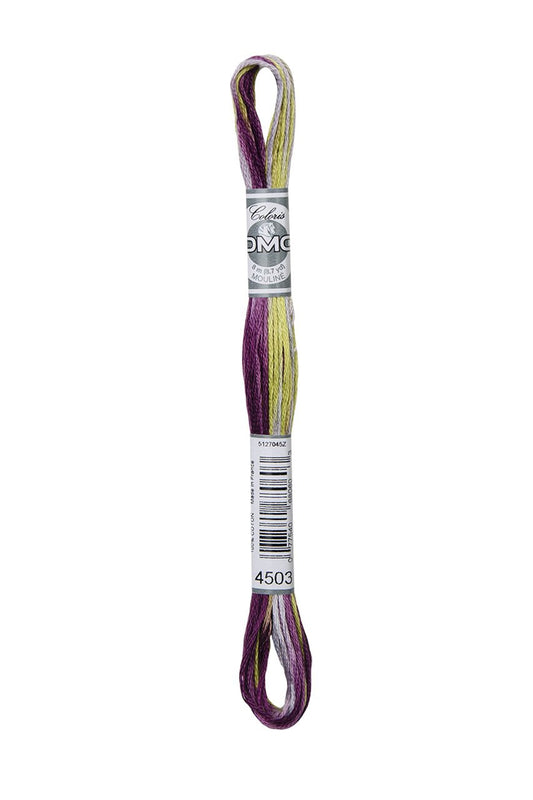 DMC Coloris 4503