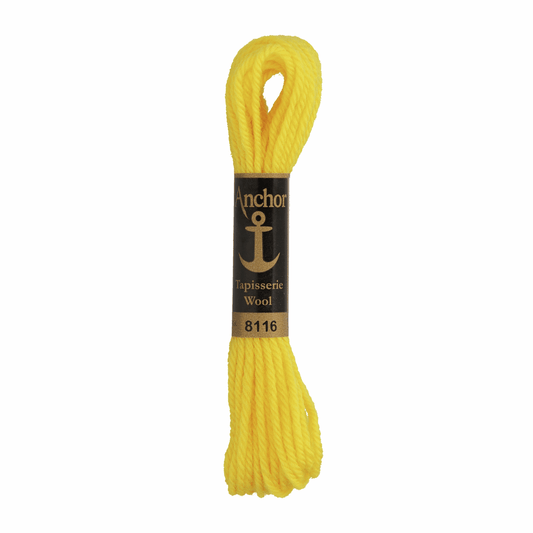 Anchor Tapestry Wool - Shade 8116 - 10m