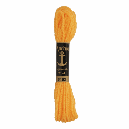 Anchor Tapestry Wool - Shade 8152 - 10m