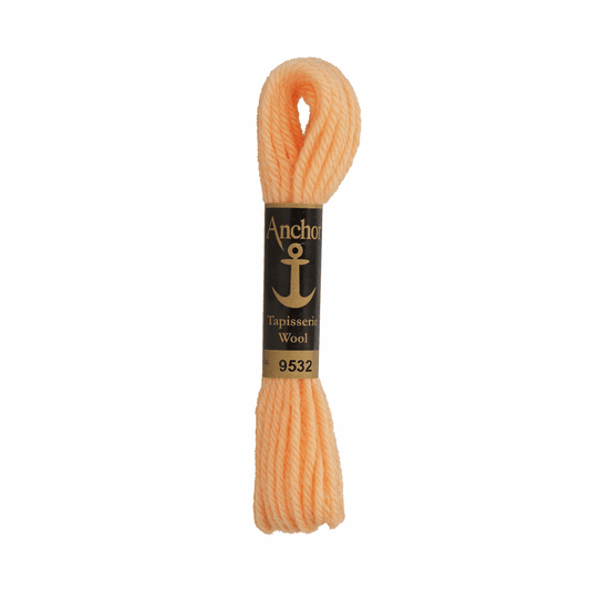 Anchor Tapestry Wool - Shade 9532 - 10m