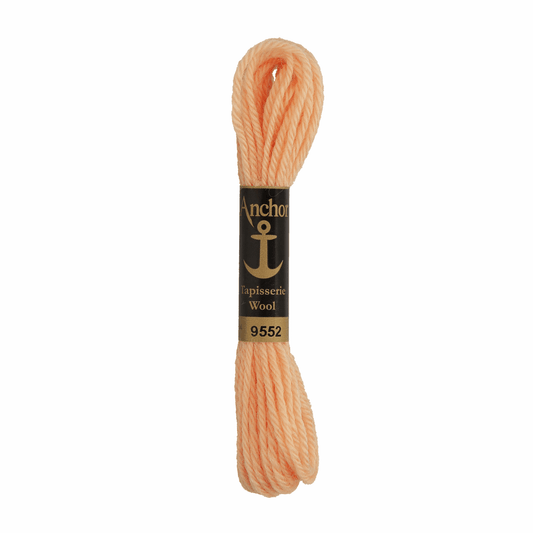 Anchor Tapestry Wool - Shade 9552 - 10m