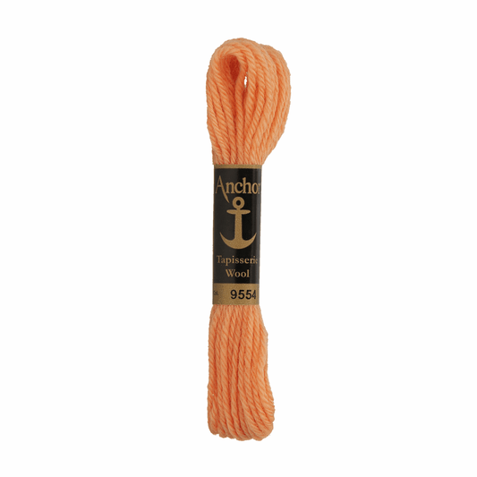 Anchor Tapestry Wool - Shade 9554 - 10m