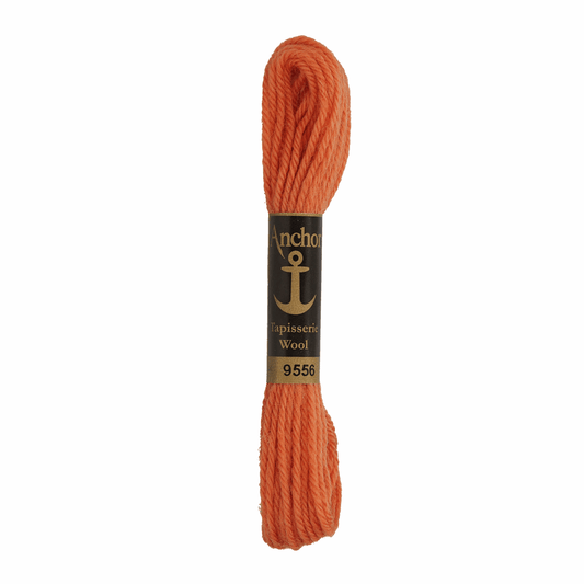 Anchor Tapestry Wool - Shade 9556 - 10m