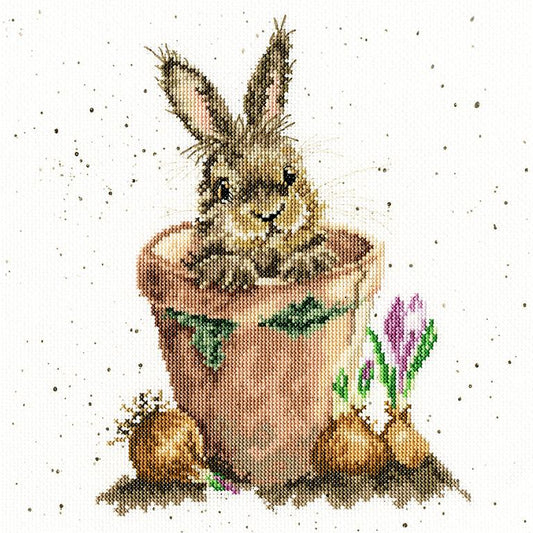 The Flower Pot  - Bothy Threads Cross Stitch Kit XHD76