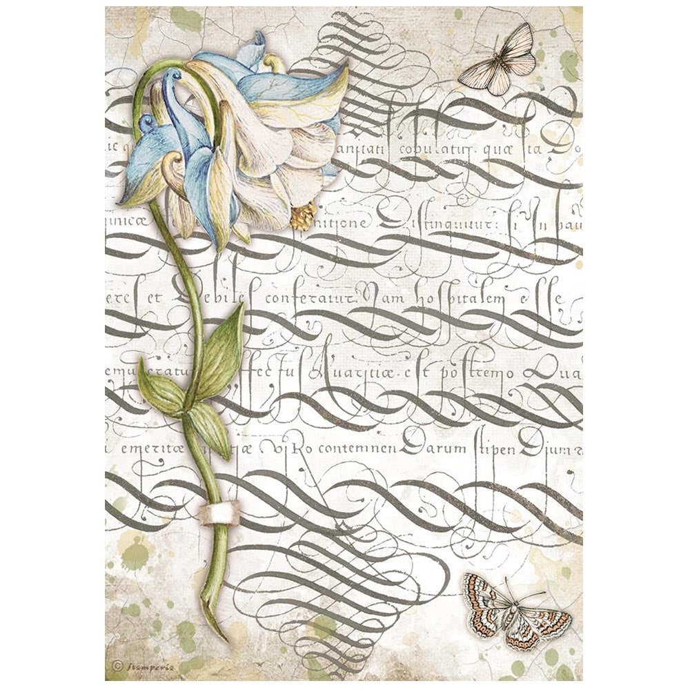 Stamperia A4 Rice Paper Romantic Garden House Columbin (DFSA4668)