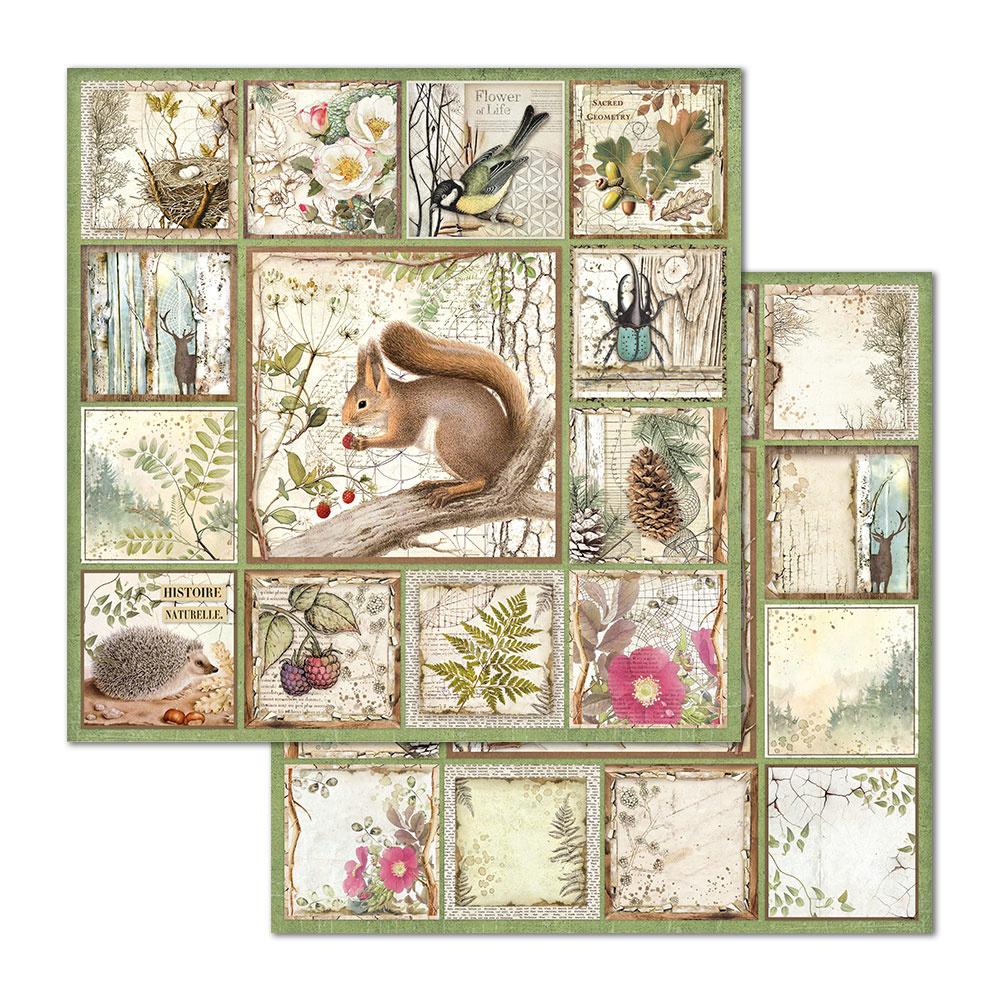 Stamperia Forest 12x12 Inch Paper Pack (SBBL63) for Scrapbooking