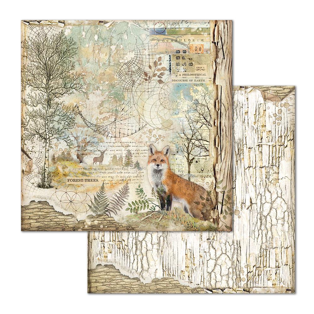Stamperia Forest 12x12 Inch Paper Pack (SBBL63) for Scrapbooking