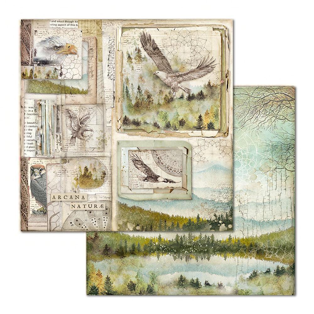 Stamperia Forest 12x12 Inch Paper Pack (SBBL63) for Scrapbooking
