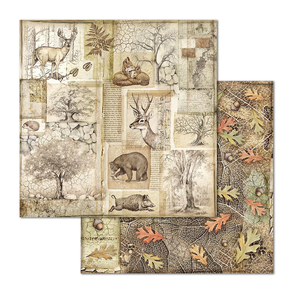 Stamperia Forest 12x12 Inch Paper Pack (SBBL63) for Scrapbooking