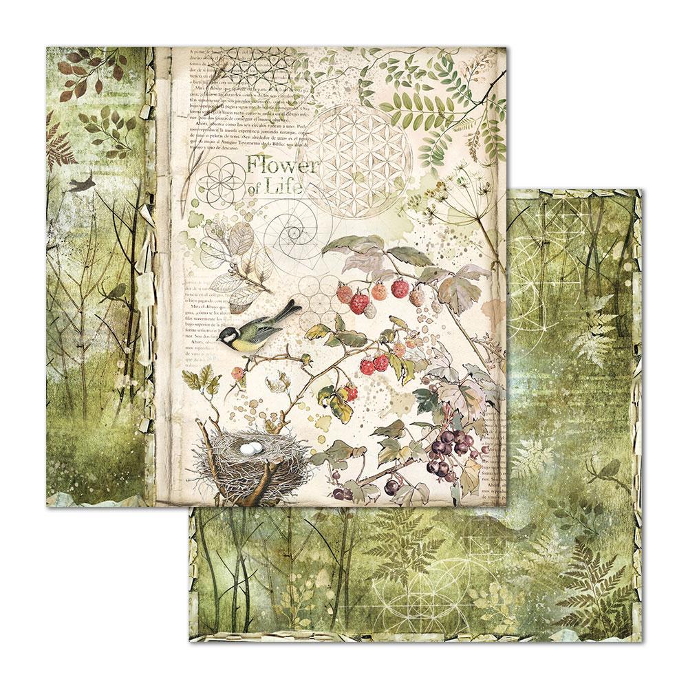 Stamperia Forest 12x12 Inch Paper Pack (SBBL63) for Scrapbooking