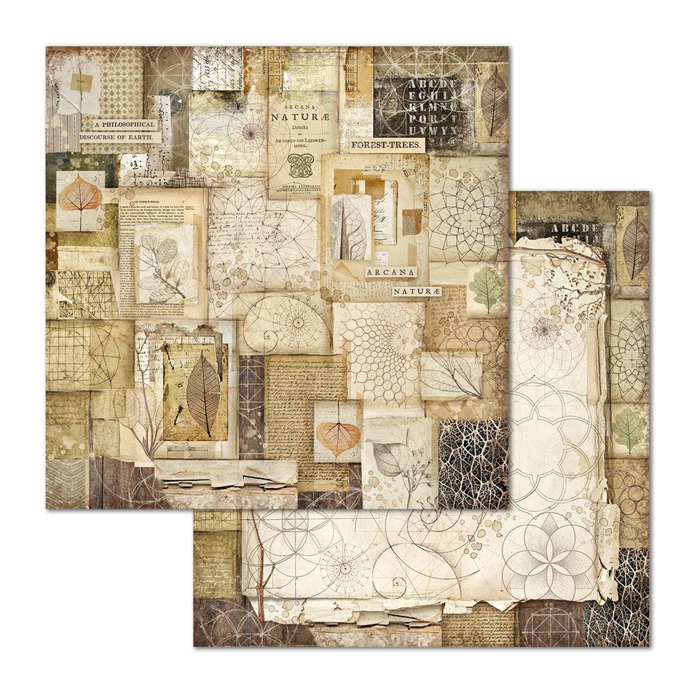 Stamperia Forest 12x12 Inch Paper Pack (SBBL63) for Scrapbooking