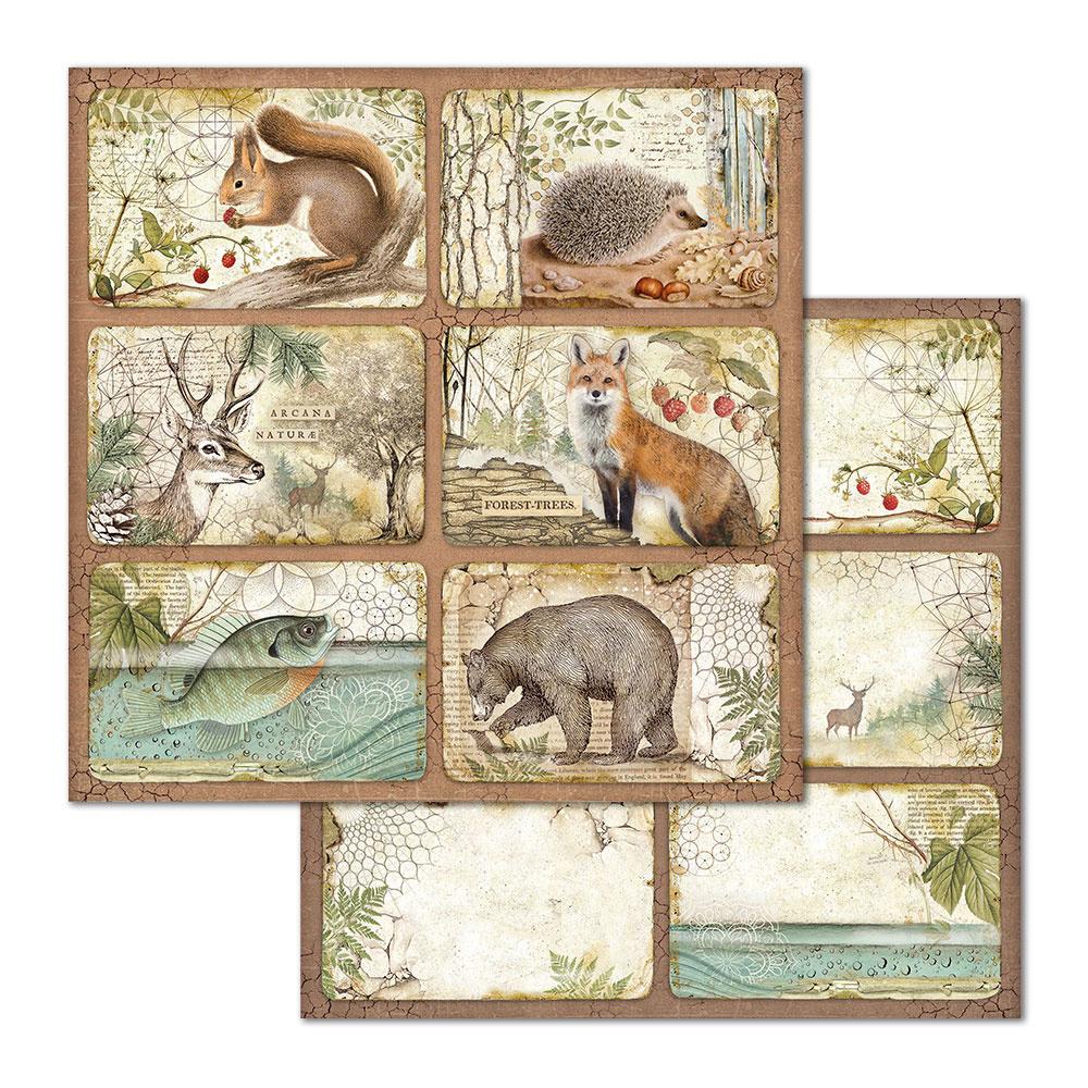 Stamperia Forest 12x12 Inch Paper Pack (SBBL63) for Scrapbooking