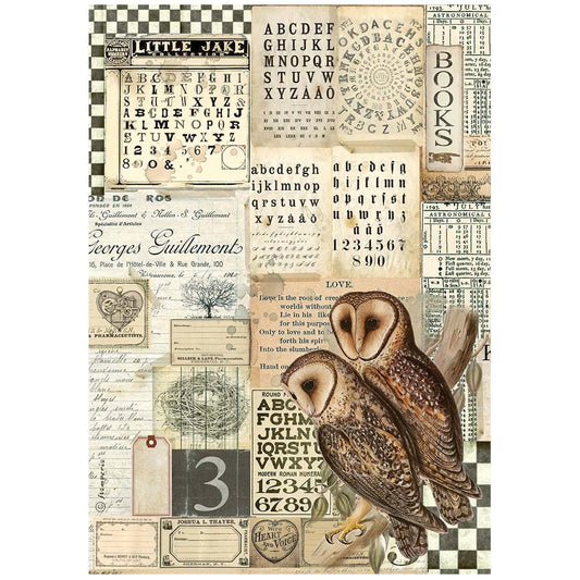 Stamperia Rice Paper A4 Alchemy Owls (DFSA4664)