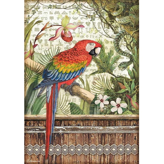 Stamperia Rice Paper A4 Amazonia Parrot (DFSA4531)