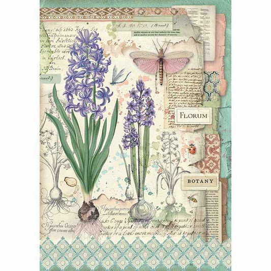 Stamperia Rice Paper A4 Botanic Bulbs DFSA4363 for Decoupage