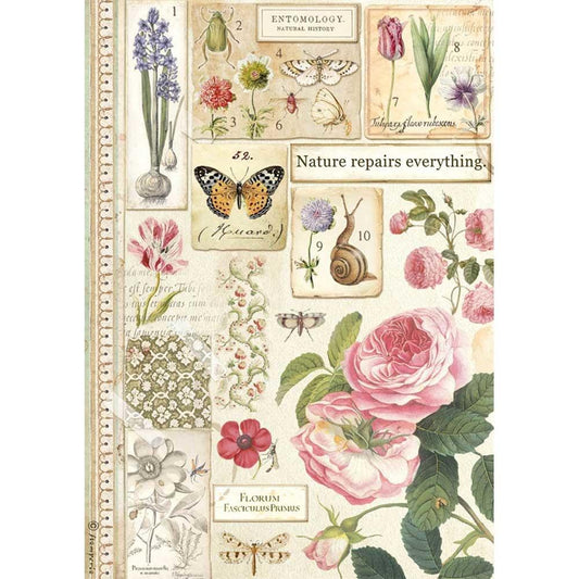 Stamperia Rice Paper A4 Botany (DFSA4623)