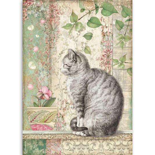 Stamperia Rice Paper A4 Cat (DFSA4511)