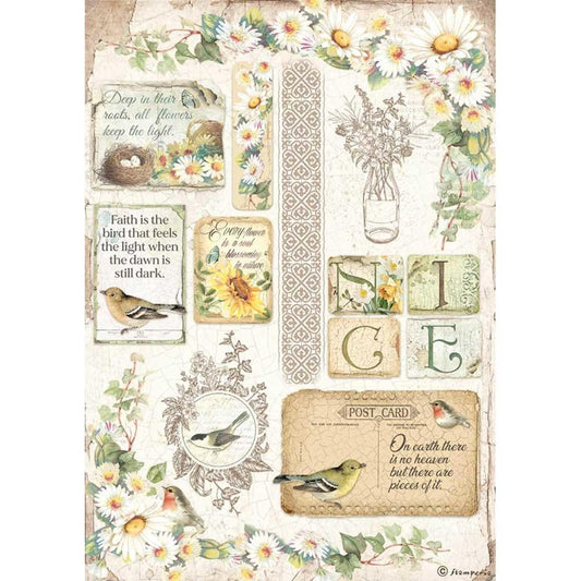 Stamperia Rice Paper A4 Daisy (DFSA4620)