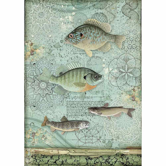 Stamperia Rice Paper A4 Fish (DFSA4428) for Decoupage