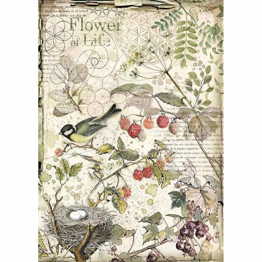 Stamperia Rice Paper A4 Flowers and Fruits (DFSA4459) for Decoupage