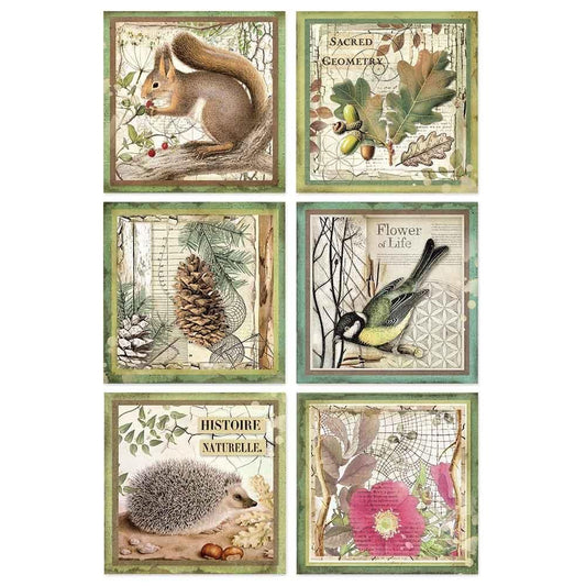 Stamperia Rice Paper A4 Framed Animals (DFSA4425) for Decoupage -|