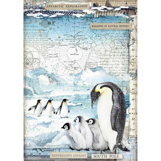 Stamperia Rice Paper A4 Penguins (DFSA4479)
