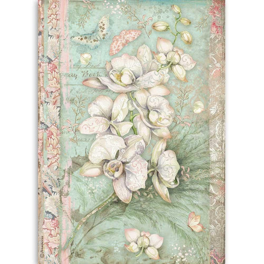 Stamperia Rice Paper A4 White Orchid (DFSA4508)