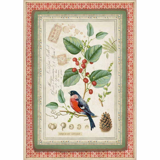 Stamperia Rice Paper A4 Winter Botanic Little Bird on Holly DFSA4326 for Decoupage