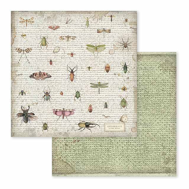 Stamperia Spring Botanic 12x12 Inch Paper Pack SBBL50 for Scrapbooking